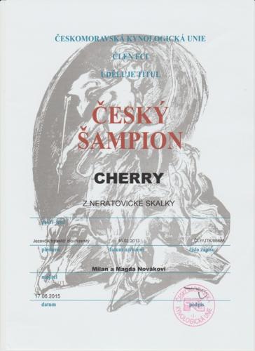 Cherry 7